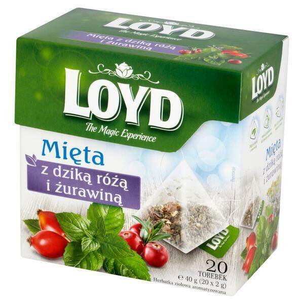 HERBATA LOYD A20 PIRAMIDKI MIĘTA