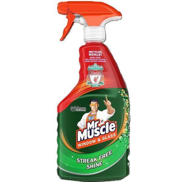 PŁYN DO SZYB MR MUSCLE 750ML ZIELONY IMP