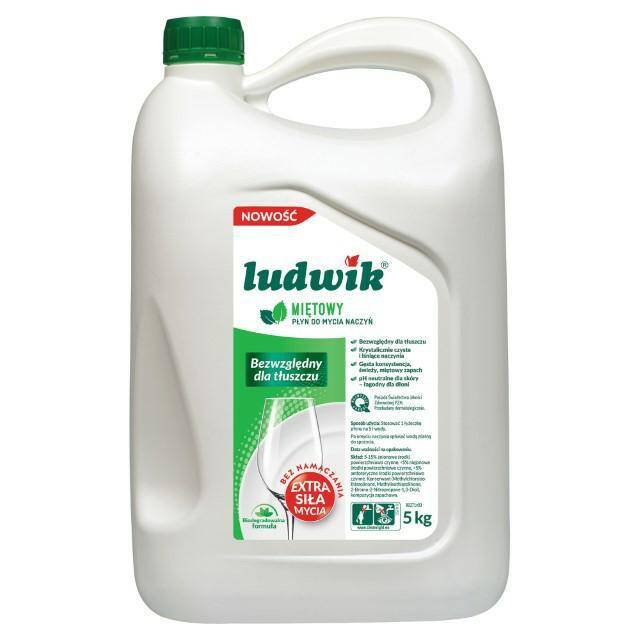 PŁYN DO NACZYŃ LUDWIK 5L MIĘTA IV2 0013