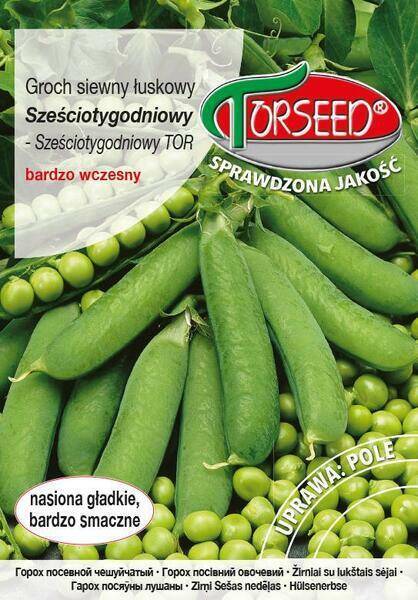 NASIONA GROCH 50G SIEWNY SZEŚCIOTYGODNIO