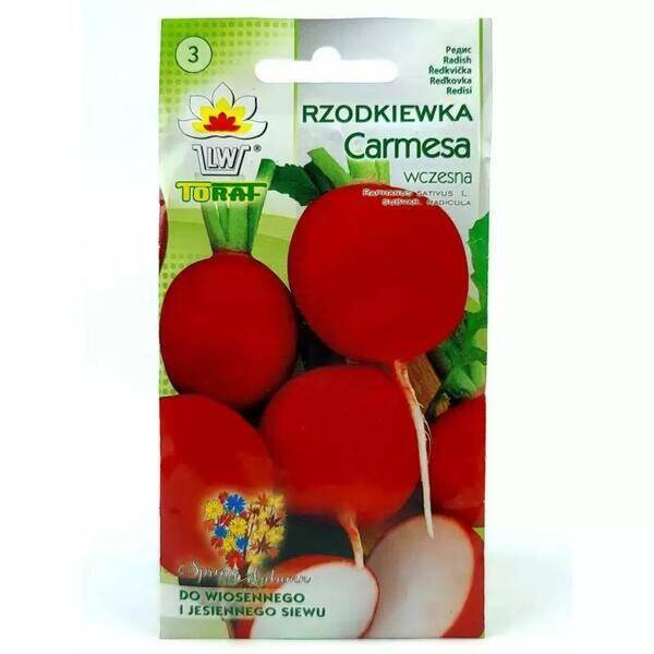 NASIONA RZODKIEWKA 10G CARMESA CZERWONA