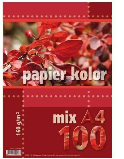 Papier kolorowy mix A4 160g