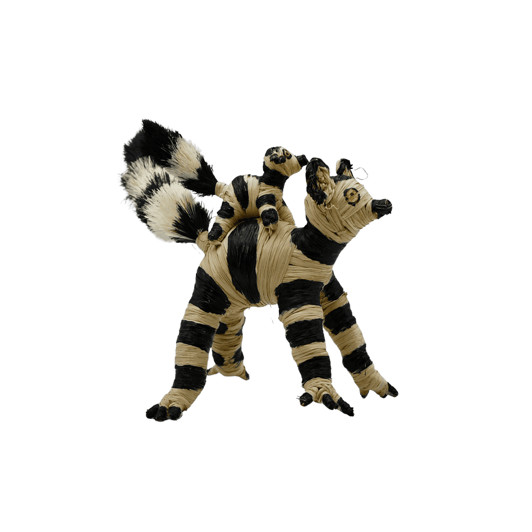 Lemur z rafii, mama z dzieckiem,