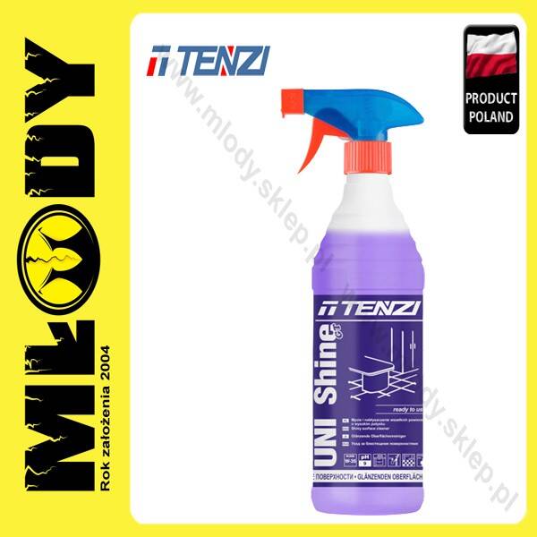 TENZI UNI Shine GT 0,6l Uniwersalny Profesjonalny Środek Myjąco Pielęgnujący Spray