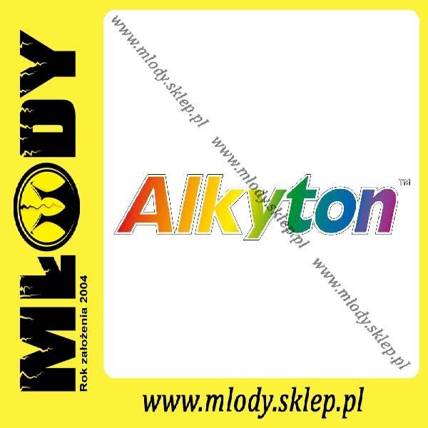 MOTIP ALKYTON Lakier RAL9005 Czarny MATOWY 250ML