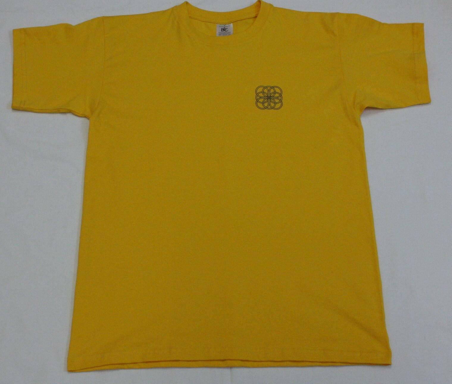 T-shirt męski Margerytka żółty L (Zdjęcie 1)