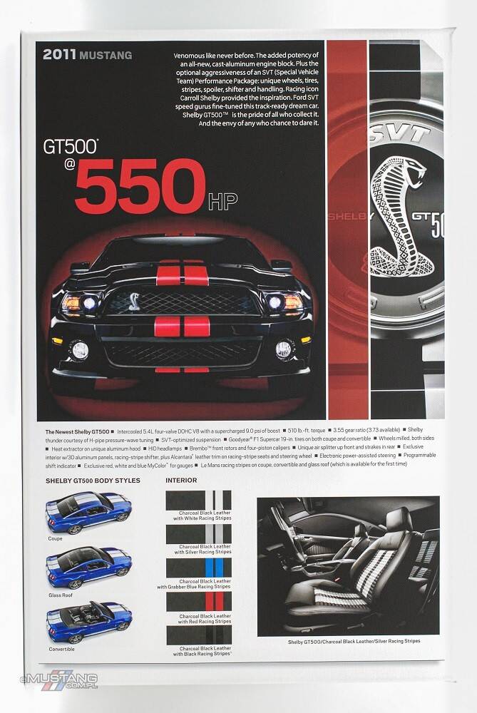 Płótno Mustang Shelby GT500- 2011 rok