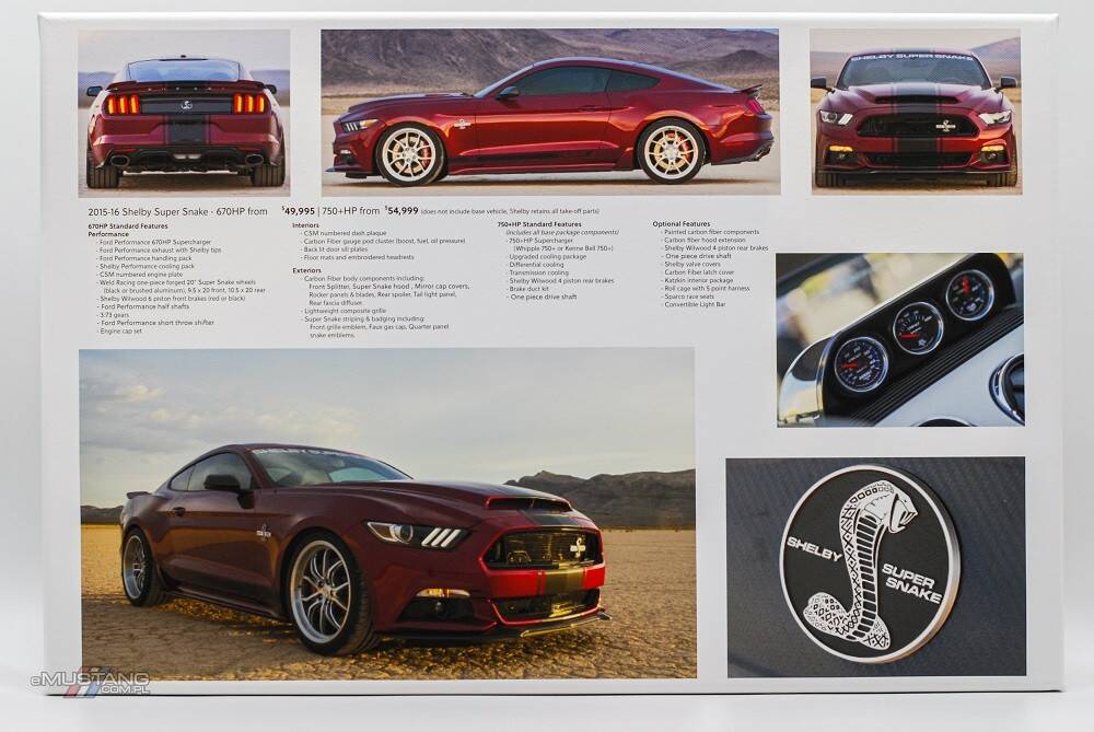 Płótno Mustang Shelby - 2015 rok (ver1)