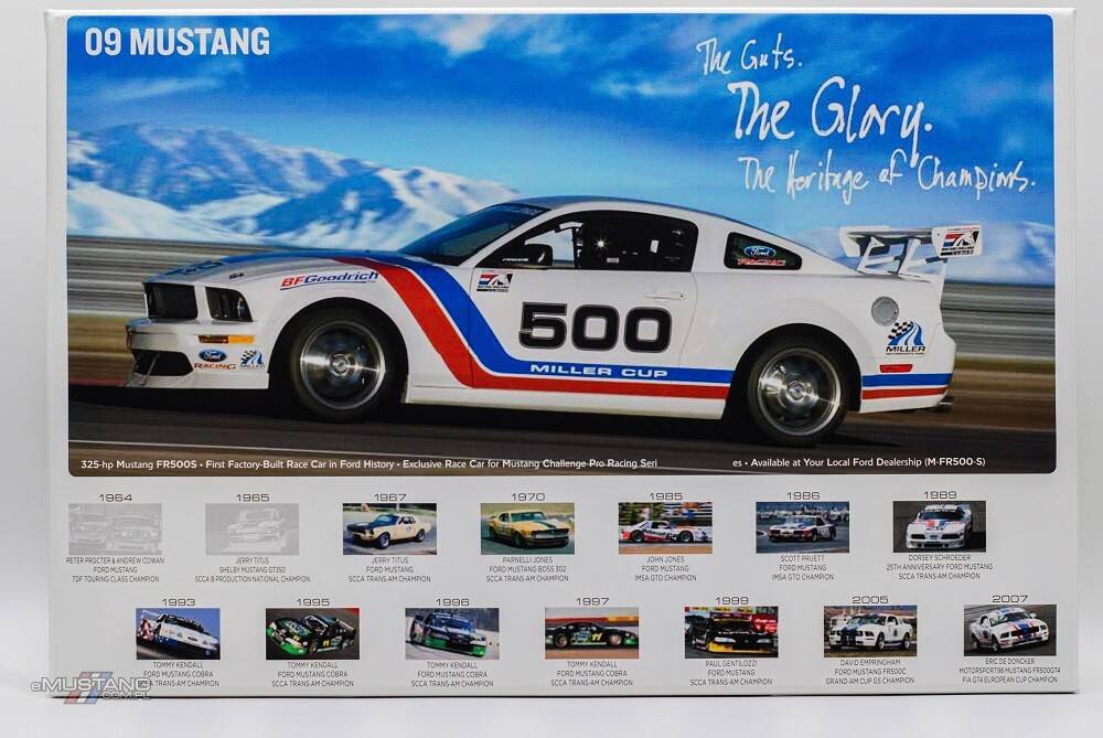Płótno Mustang Race Car - 2009 rok