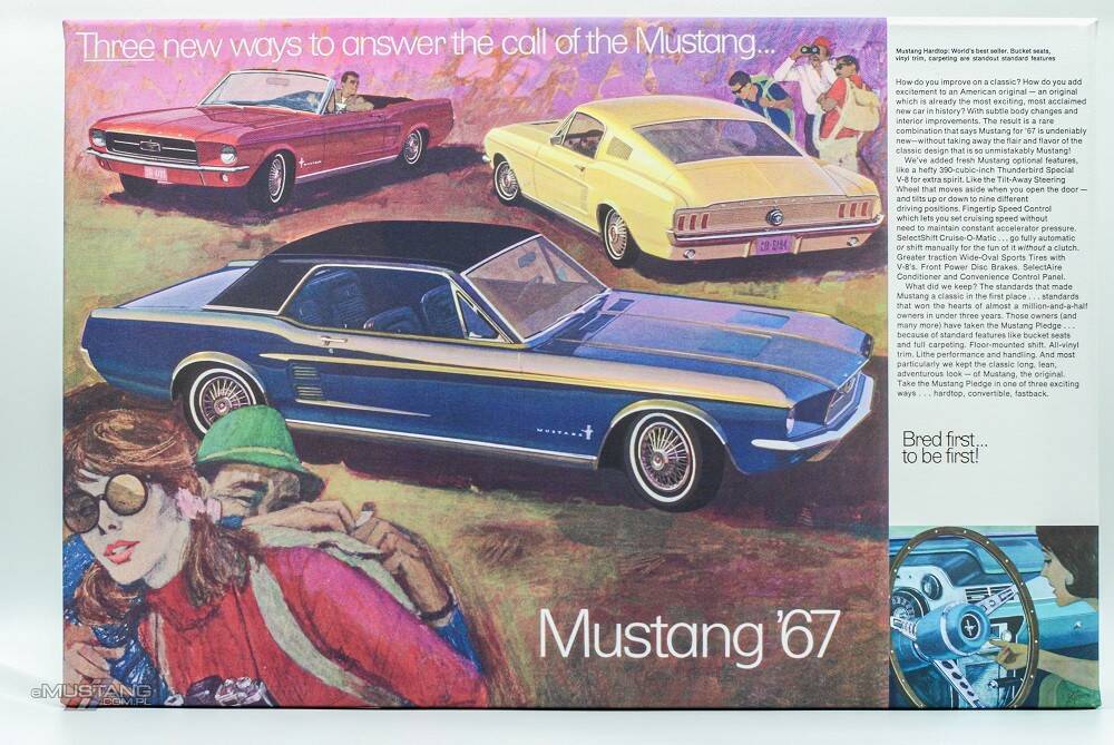 Płótno Mustang - 1967 rok
