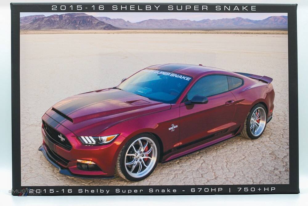 Płótno Mustang Shelby - 2015 rok (ver2)