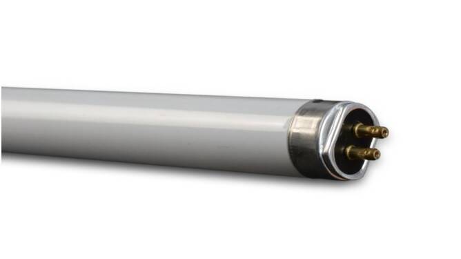 Luxe T5 HE 14W 865 Świetlówka liniowa T5