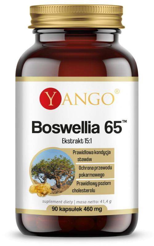 YANGO Boswelia 65 60 kaps.