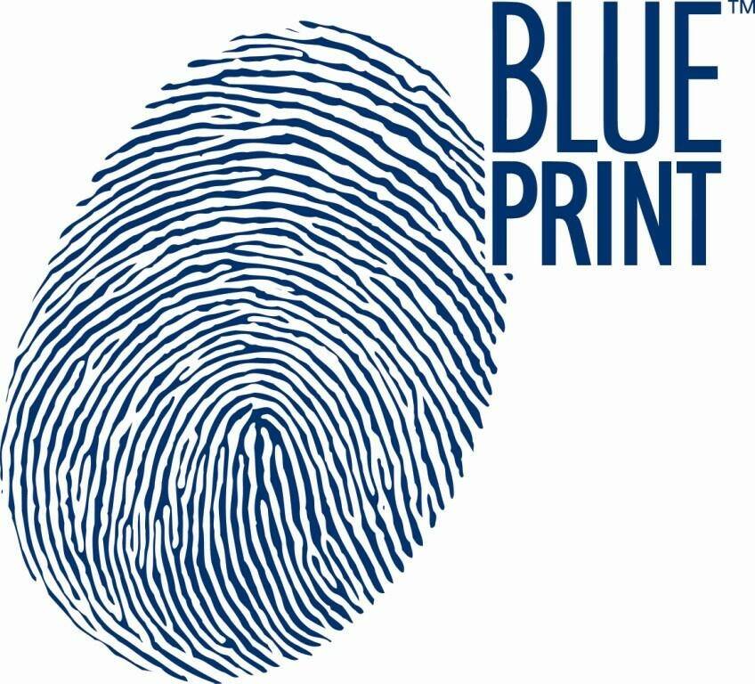 Blue Print ADG02279