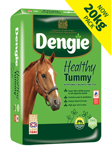 Dengie Healthy Tummy 20kg - sieczka dla koni w grupie ryzyka choroby wrzodowej