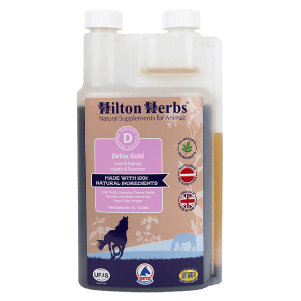 Hilton Herbs DeTox Gold 1l - suplement dla koni wspierający pracę wątroby
