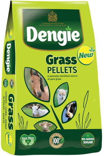 Dengie Grass Pellets 20kg - trawokulki dla koni