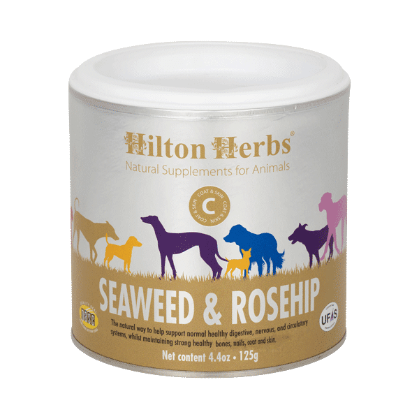 Hilton Herbs Seaweed & Rosehip 60g - suplement dla psów wspierający układ odpornościowy