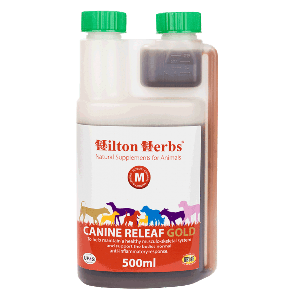 Hilton Herbs Canine Releaf Gold 500ml - suplement dla psów działający przeciwbólowo, przecizapalnie