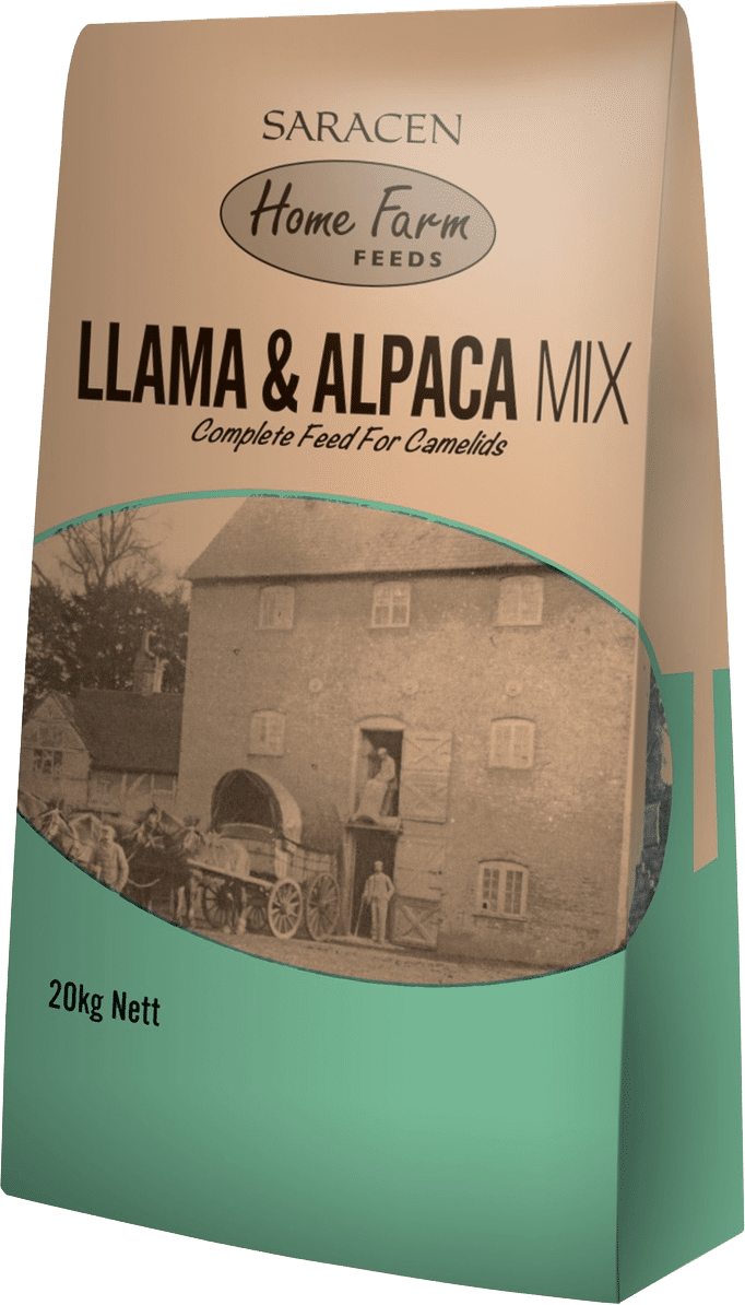 Saracen LLama & Alpaca Maintenance Mix - pasza dla lam i alpak
