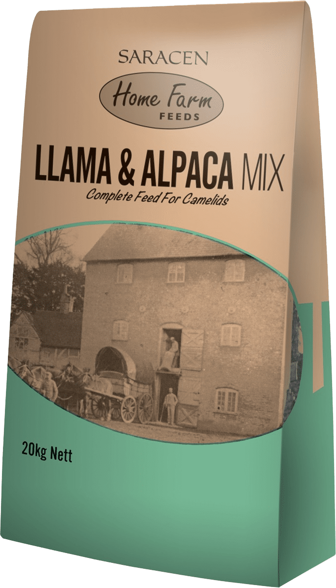 Saracen LLama & Alpaca Maintenance Mix