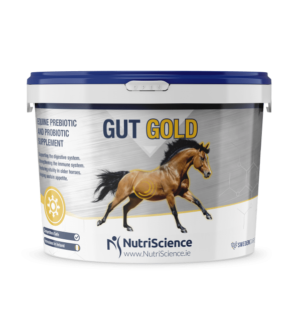 NutriScience Gut Gold 1,2 kg - suplement dla koni zawierający żywe kultury drożdży