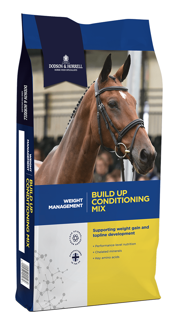 Dodson & Horrell Build Up Conditioning Mix 20kg - pasza dla koni trudno przybierających na masie