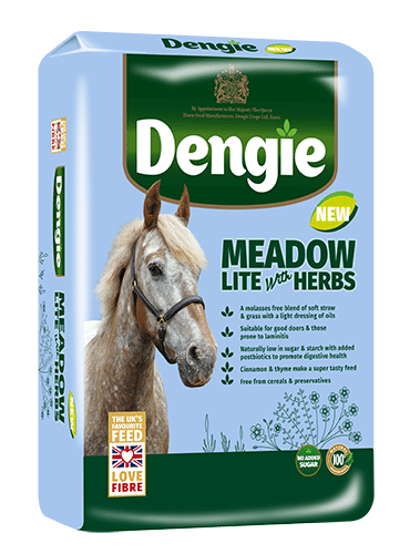 Dengie Meadow Lite with Herbs 15 kg - niskokaloryczna sieczka dla koni (Zdjęcie 1)