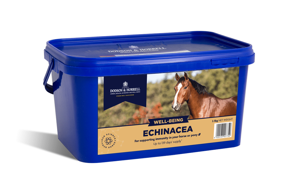 Dodson & Horrell Echinacea 1kg - suplement dla koni z Echinacea