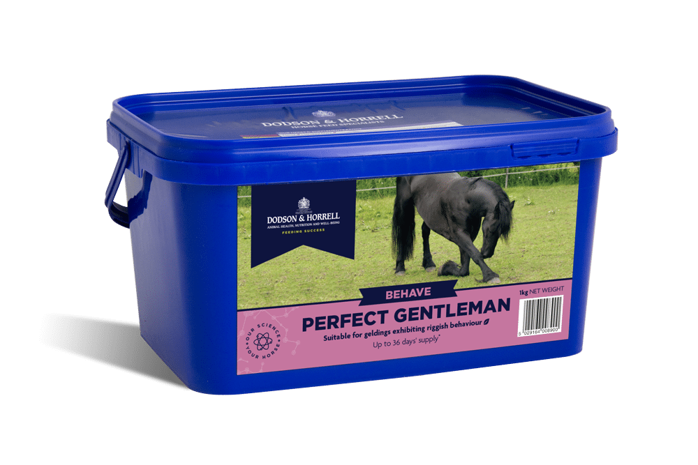 Dodson & Horrell Perfect Gentleman 1kg
