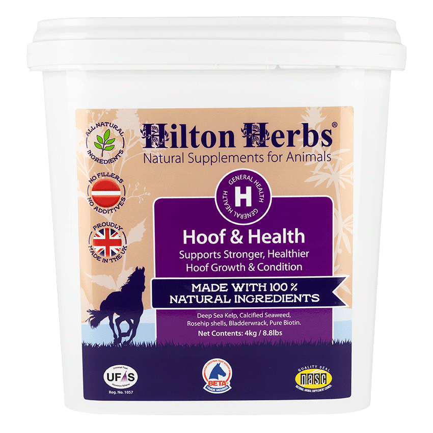 Hilton Herbs Hoof & Health 4kg TUB