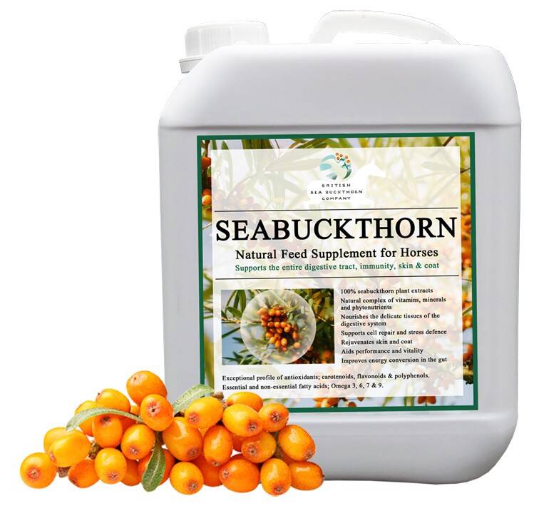 Rokitnik BSC SeaBuckthorn 5l - suplement dla koni wspierający regenerację błon śluzowych