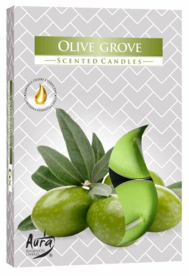 Podgrzewacze zapachowe gaj oliwny