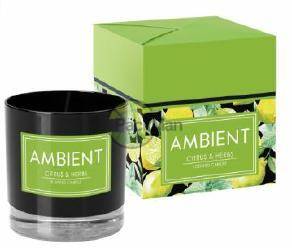 Świeca zapach ambient citr/herb/blk sn81