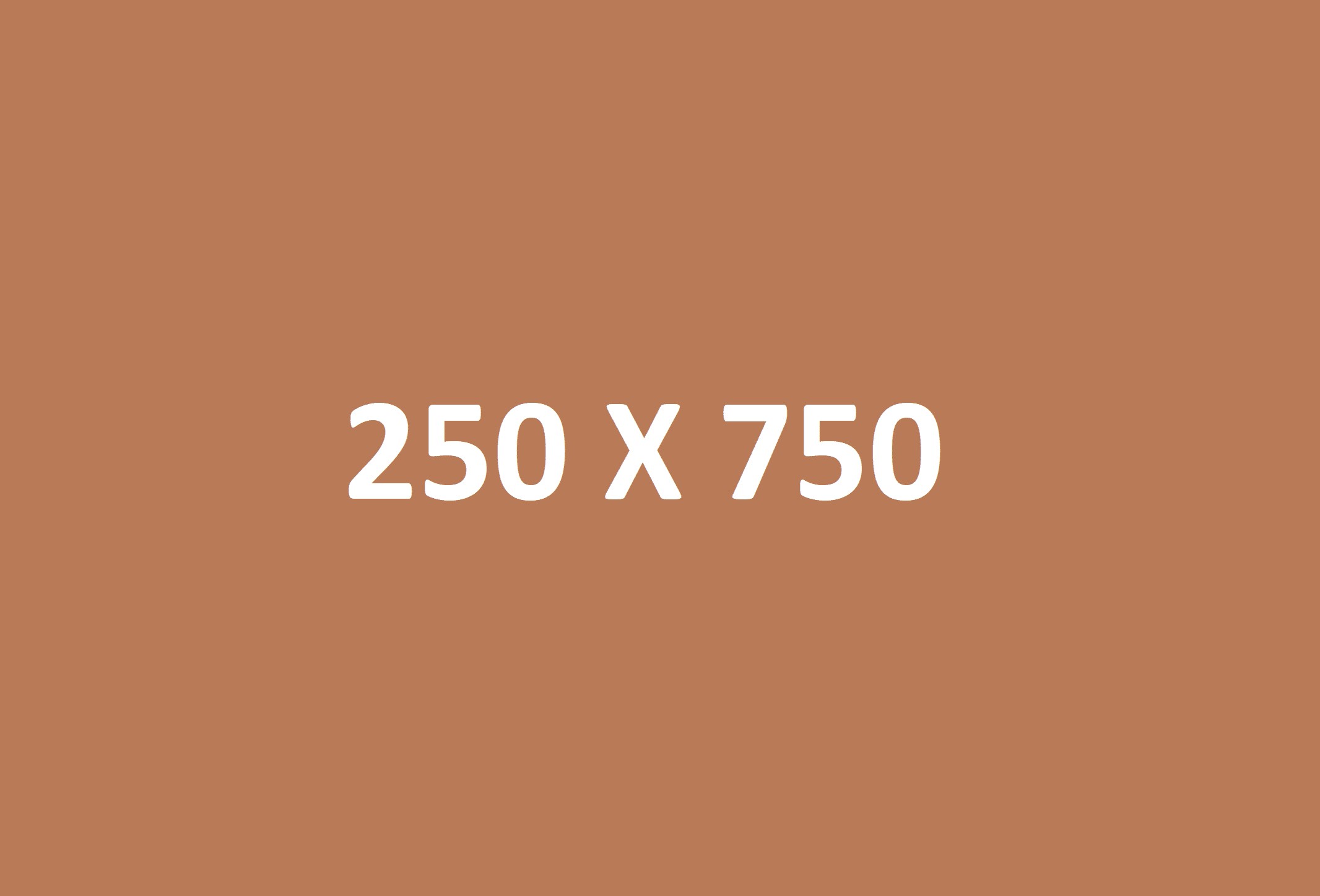 250 X 750