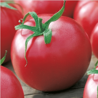 Pomidor Malinowy Kujawski 0,2g