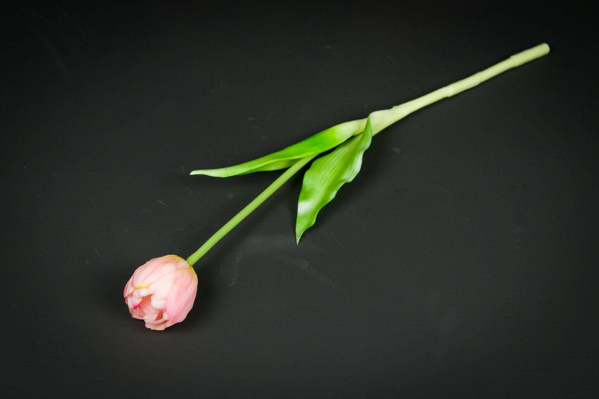 Tulipan Silikonowy (Zdjęcie 6)