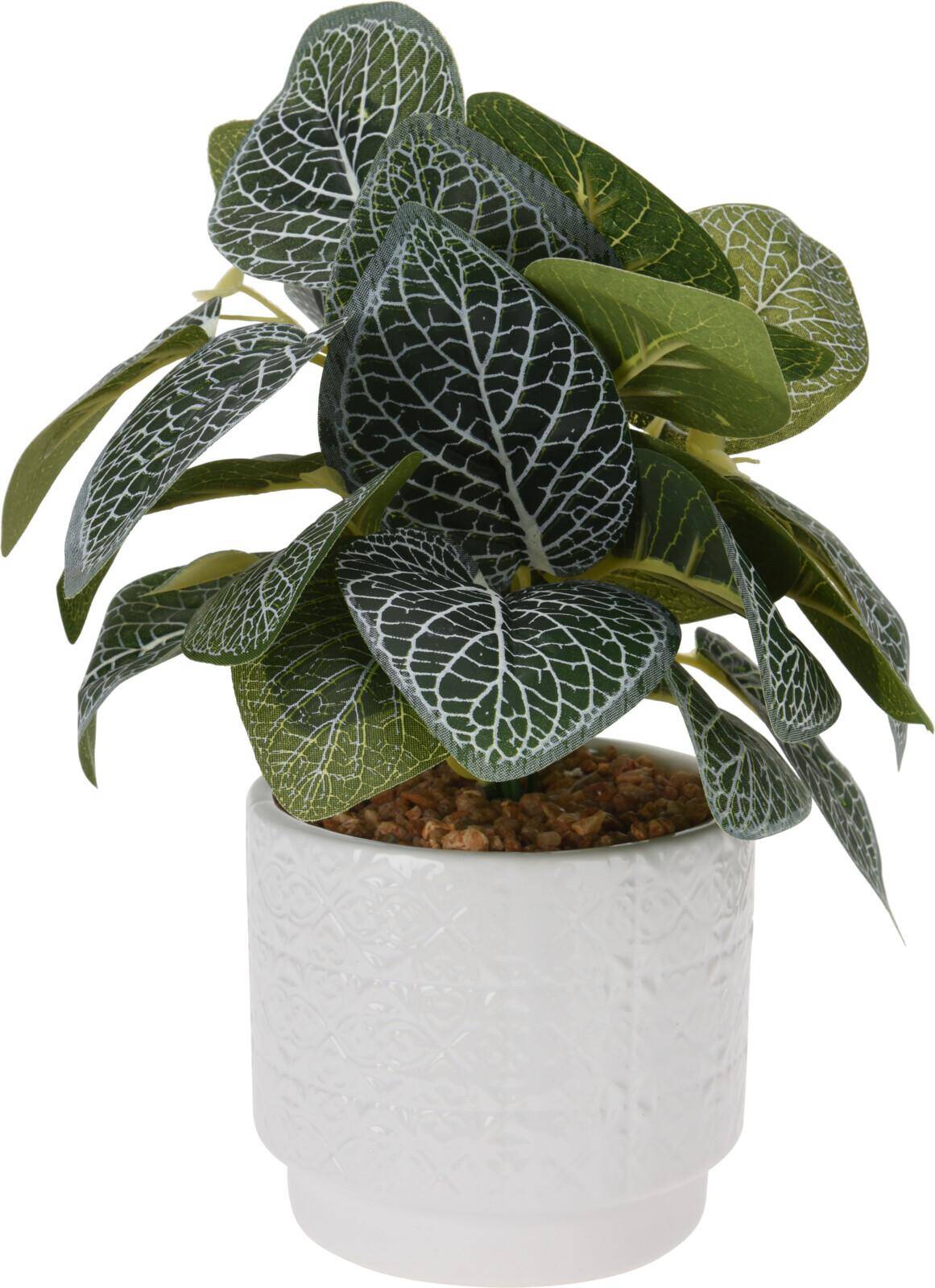 Roślina w Ceramicznej Doniczce 28 cm (Zdjęcie 1)