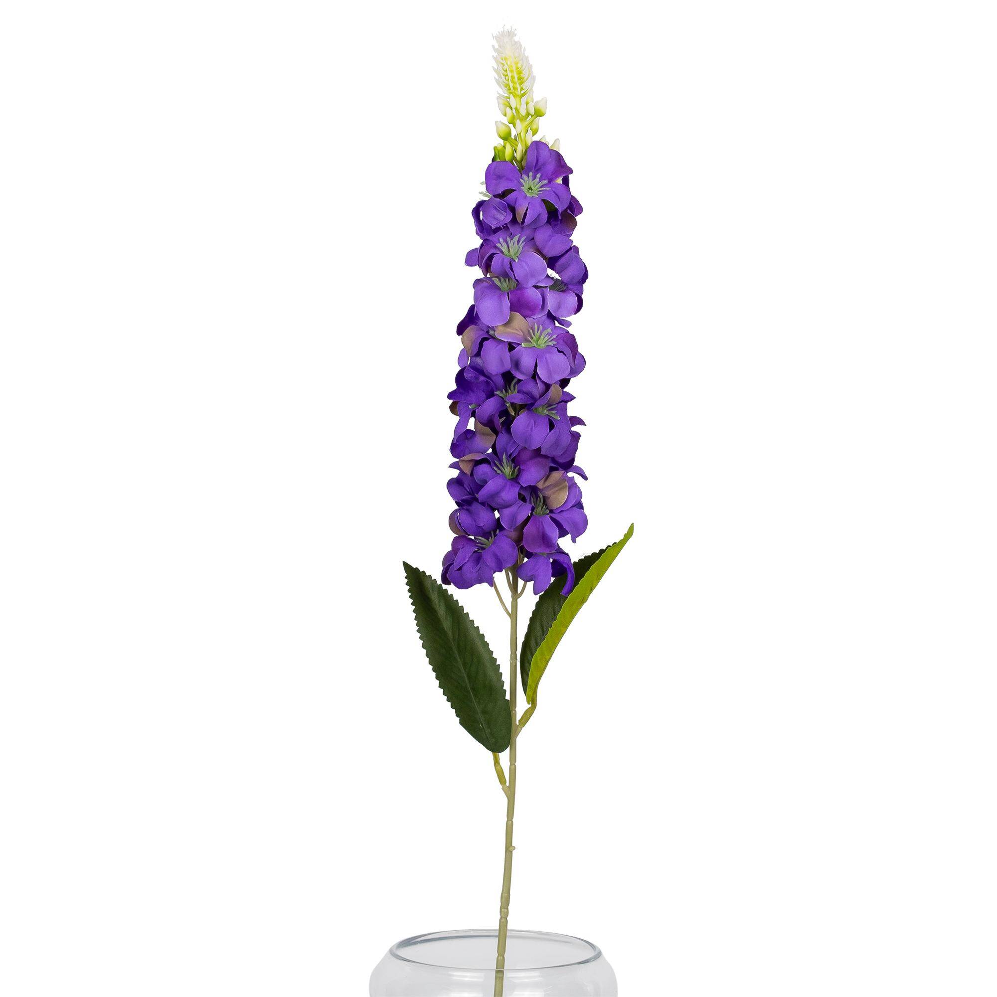 Ostróżka Pojedyncza 74 cm
