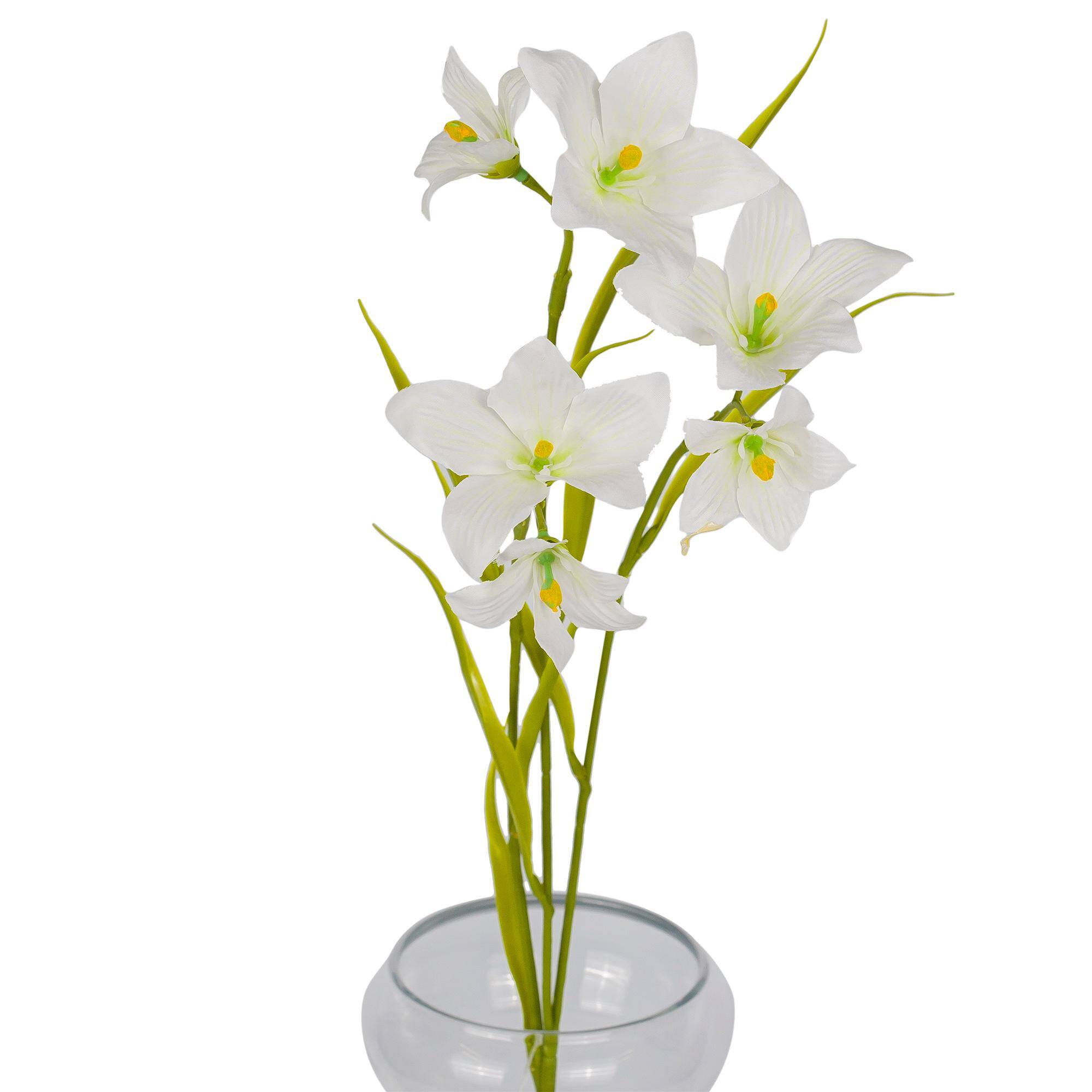 Rozwar Gałązka 64 cm