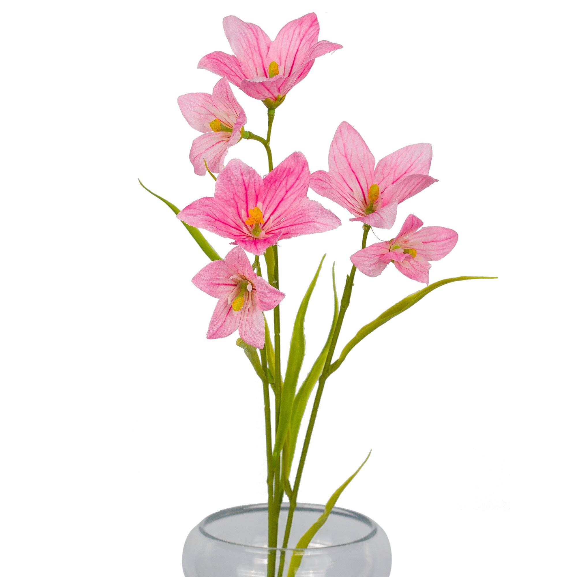 Rozwar Gałązka 64 cm