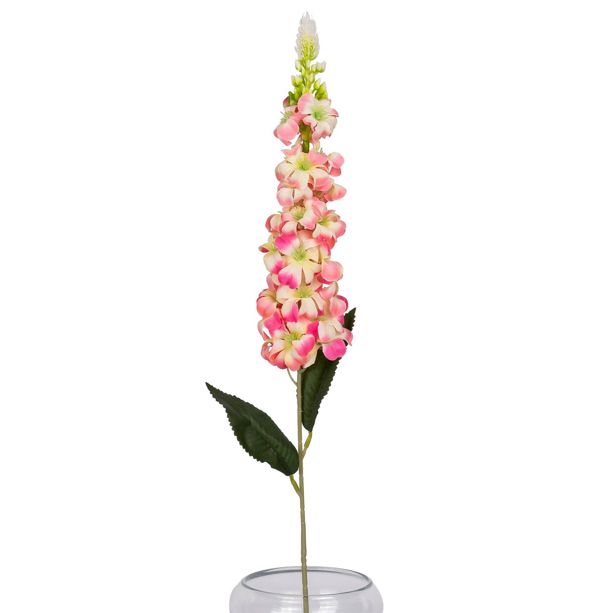 Ostróżka Pojedyncza 74 cm