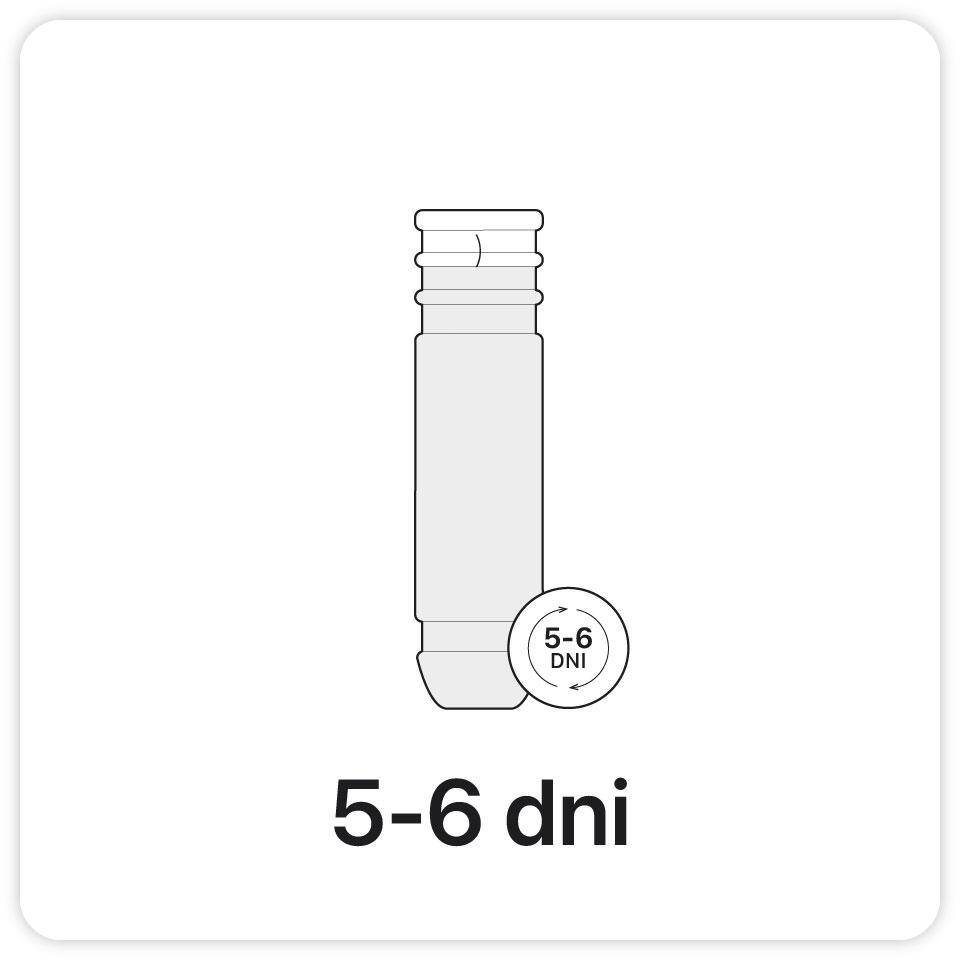 5 - 6 dni