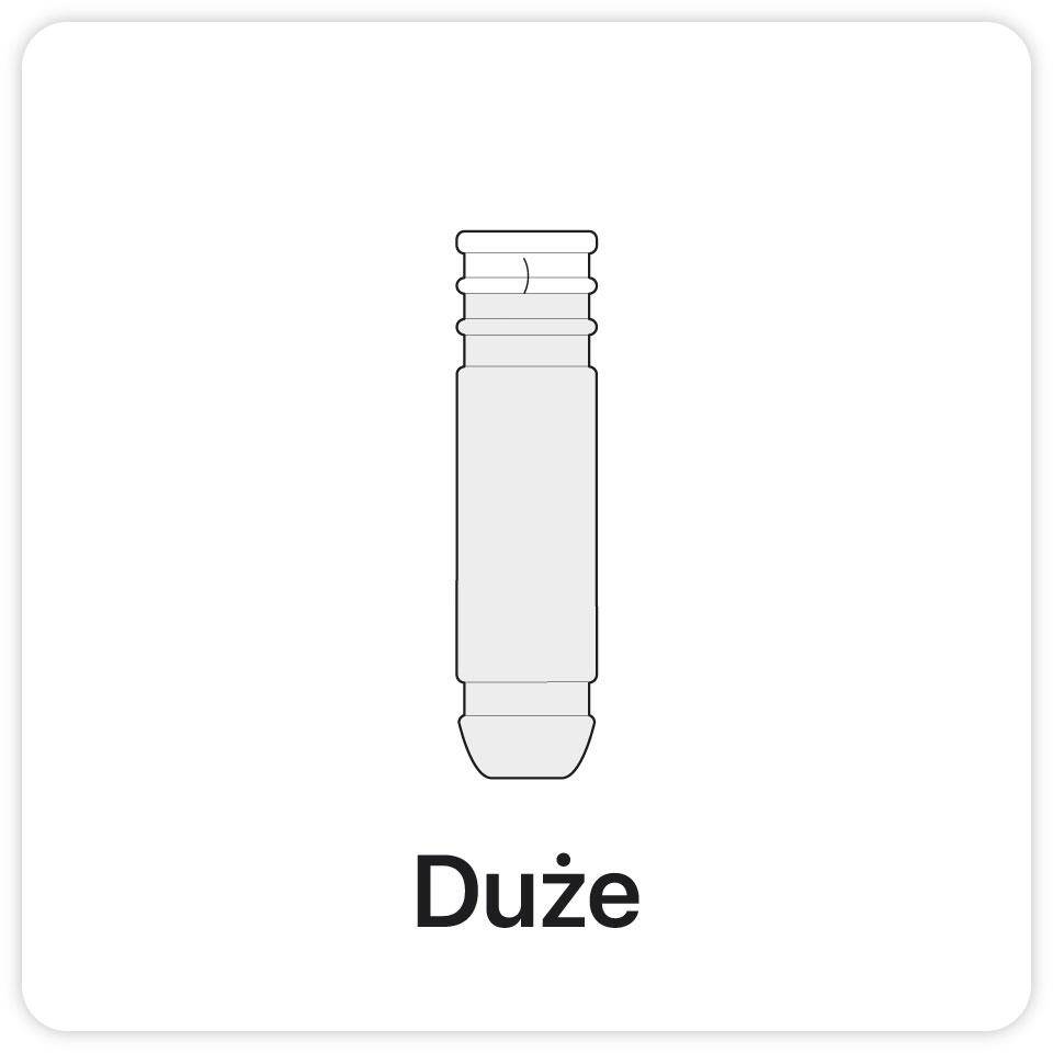 Duże
