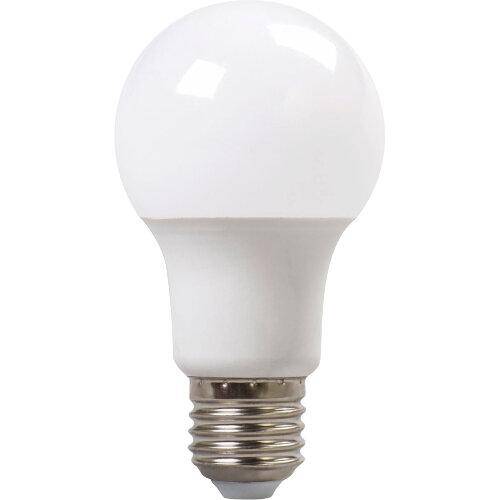 LED A60 LV 6W lampa 24V AC/DC (E27)