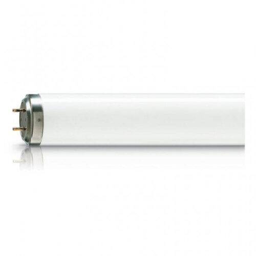 Actinic BL 11W/10 św. owadobójcza (G5)