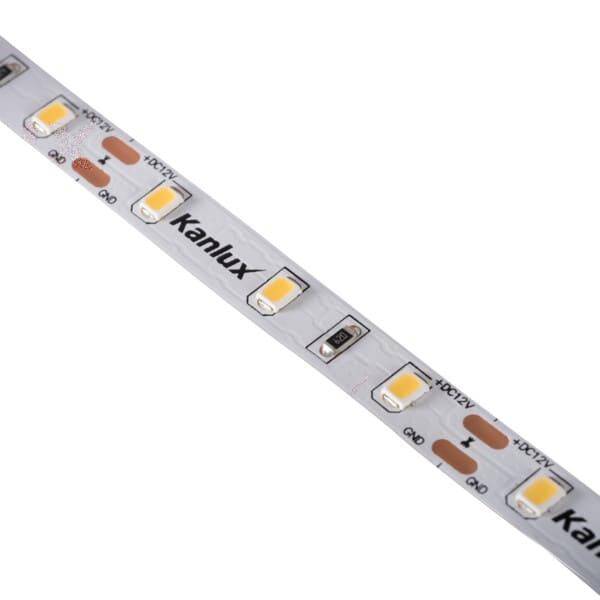 L60 11W/M 12 IP00-NW taśma LED