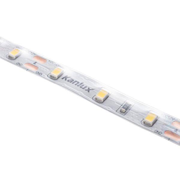 L60 11W/M 12 IP65-CW taśma led