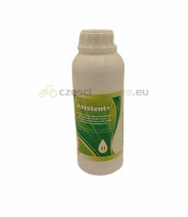 ASYSTENT + 1L