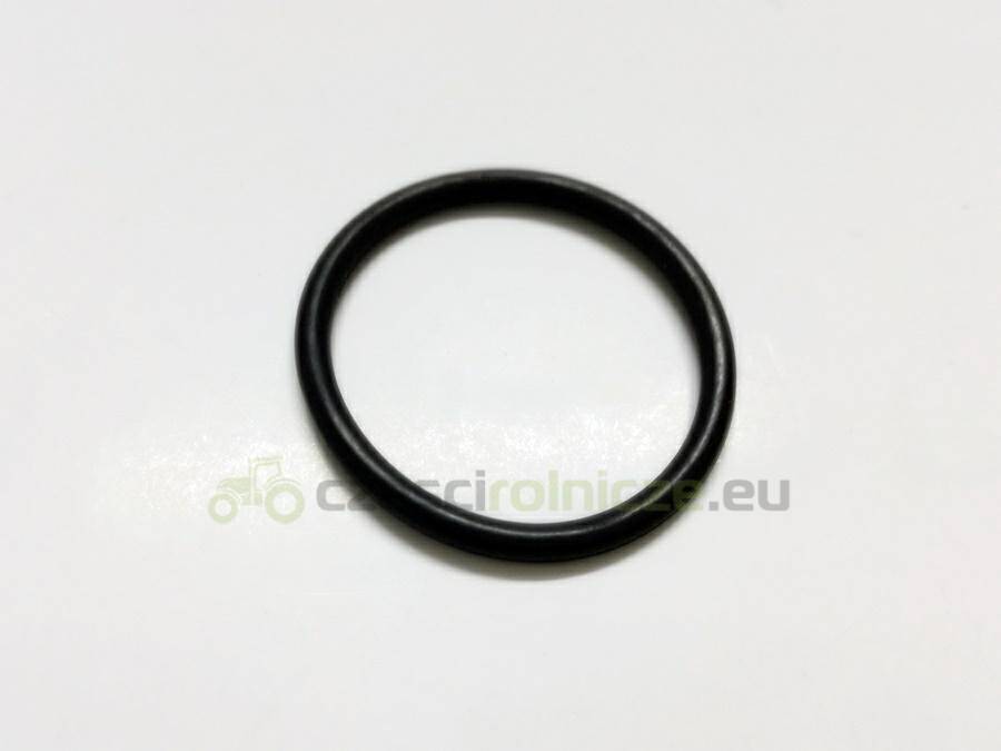 O-RING NEW HOLLAND CASE 9991976